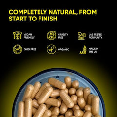 Friend of Dorothy Bottom Fiber daily-use routine visual shows water pairing.