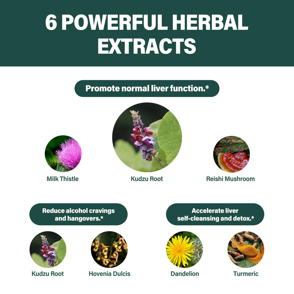 Fuenvegtal dandelion turmeric blend image emphasizing detox-support.