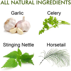 Full Life Reuma-Art X Strength ingredients garlic and nettle in the herbal blend.