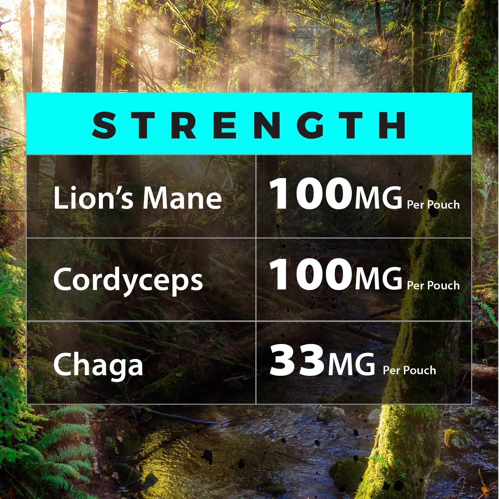 Fully Loaded Alpha packaging with flavor notes and energy cues.