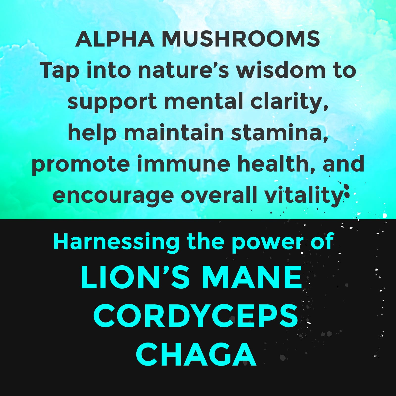 Fully Loaded Alpha label detail showcasing natural adaptogens and Chaga benefits.