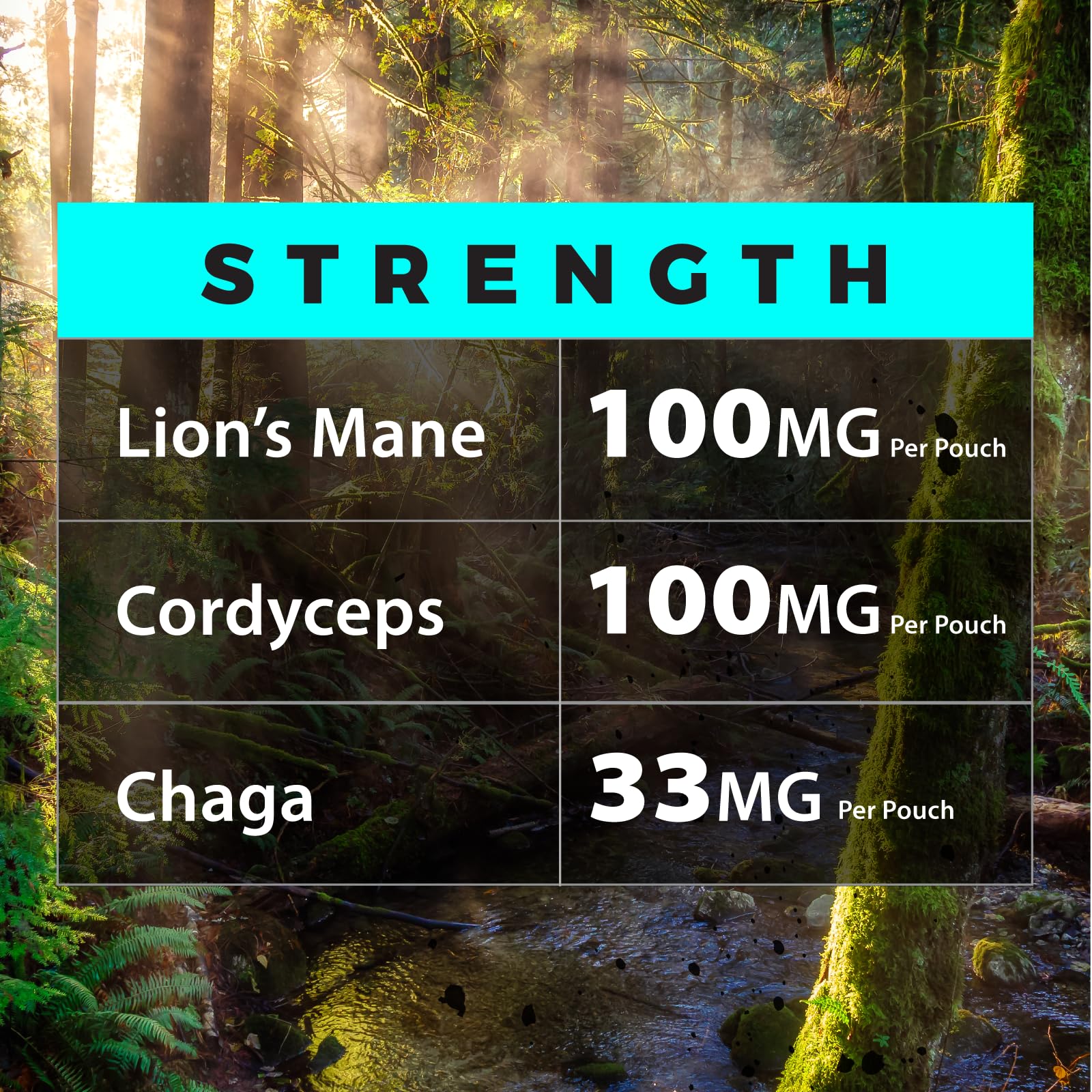 Fully Loaded Alpha Mushrooms on-the-go use for calm focus.