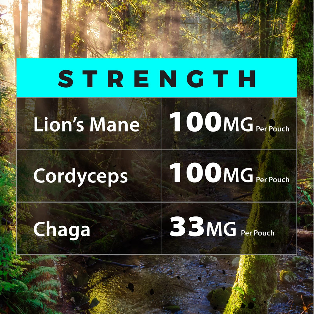Fully Loaded Alpha Mushrooms on-the-go use for calm focus.