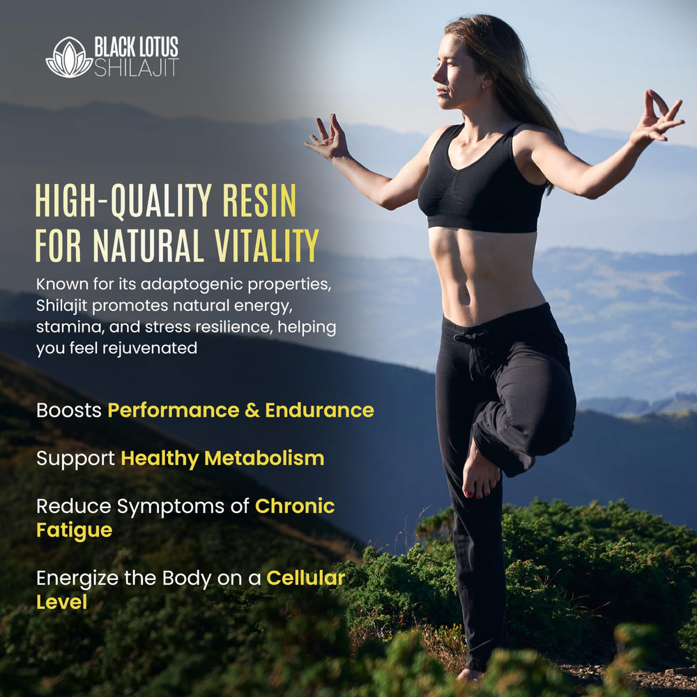 Fulvic acid and mineral-rich matrix in the Shilajit resin.