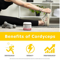 Fundamental Fungi Cordyceps Gummies bottle on shelf signals an organic energy option