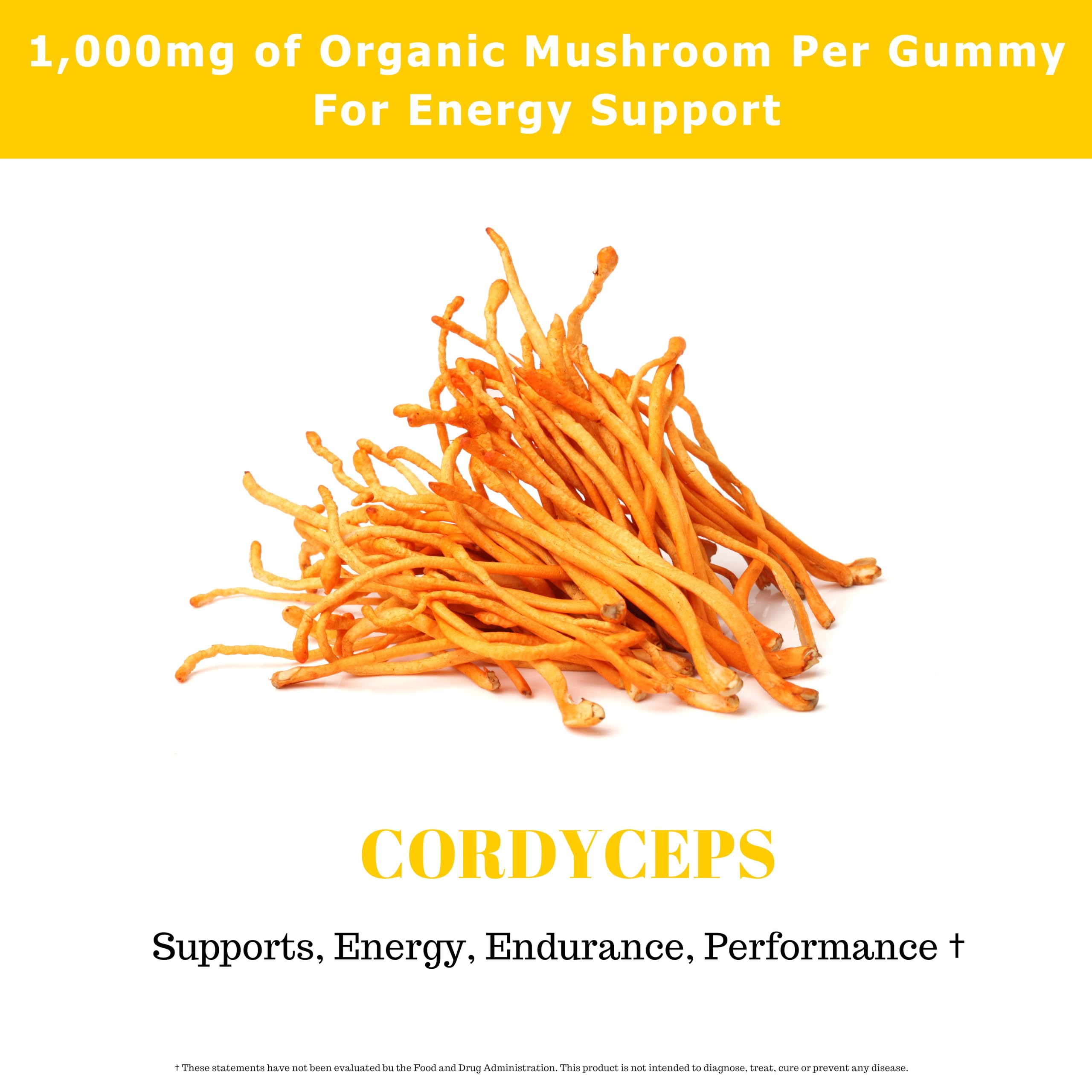 Fundamental Fungi Cordyceps Gummies label displays organic ingredients and safety focus