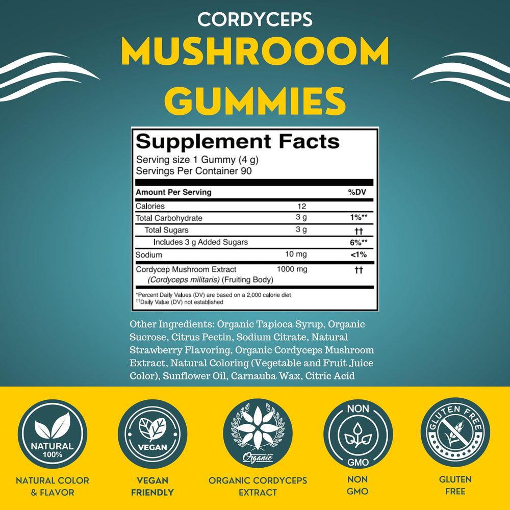 Fundamental Fungi Cordyceps Gummies texture closeup highlights chewy, portable daily use