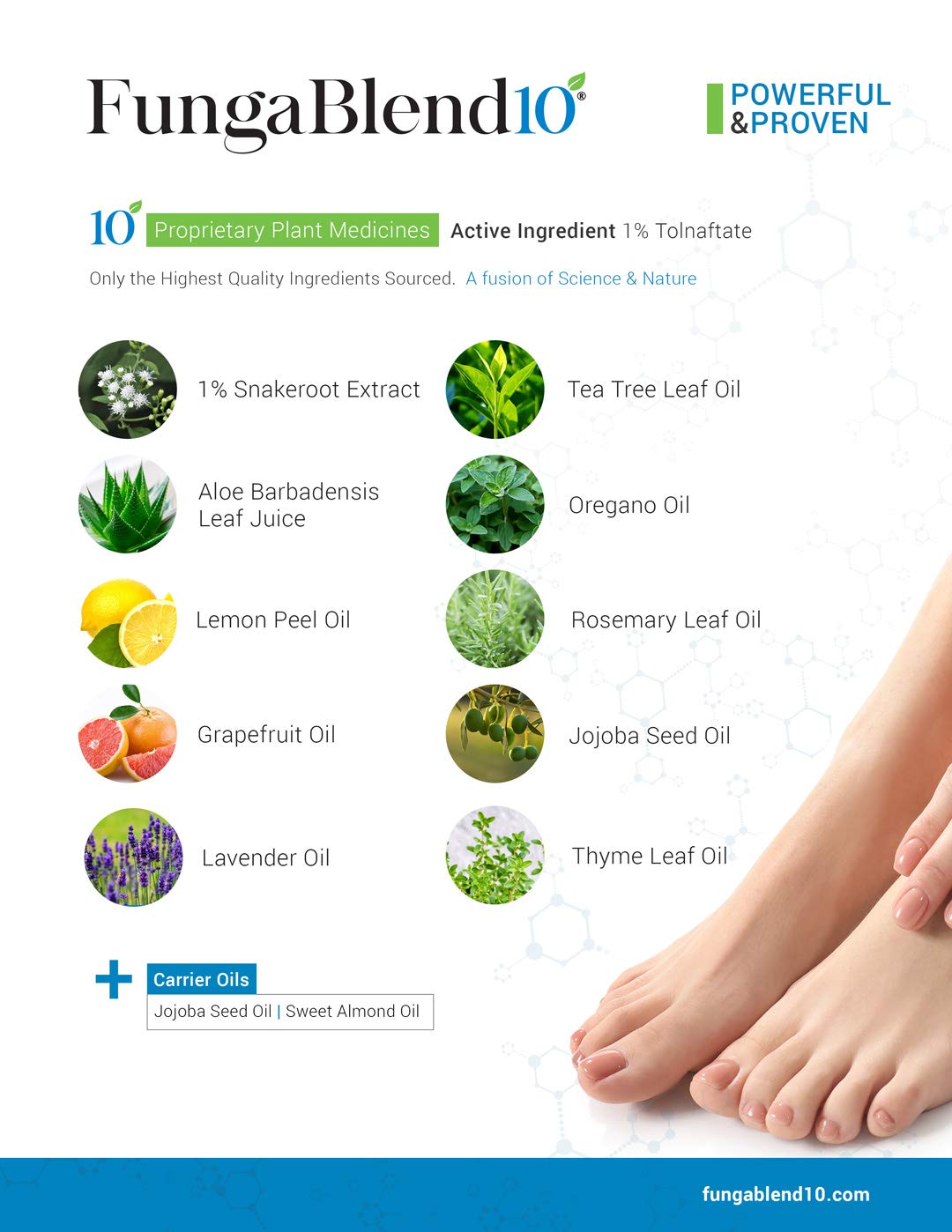 Close-up of Tolnaftate 1% active ingredient label on FungaBlend 10 bottle.