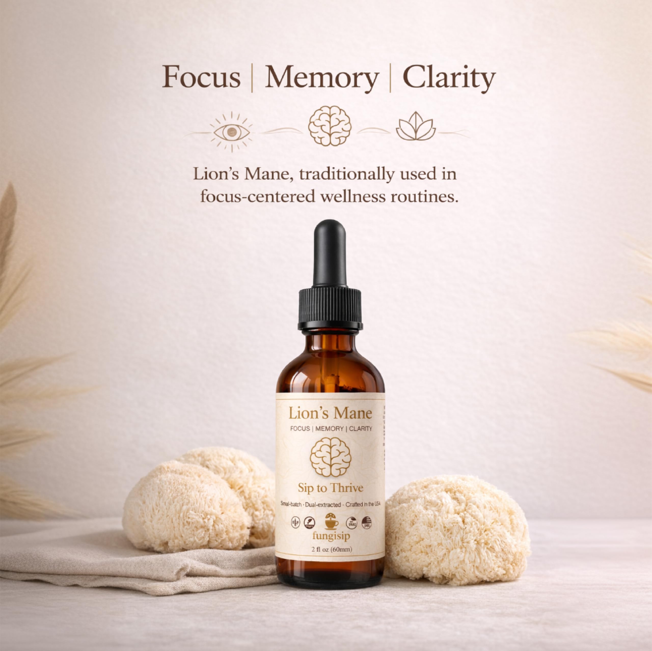 Pour the Lion’s Mane tincture into coffee or tea for focus.