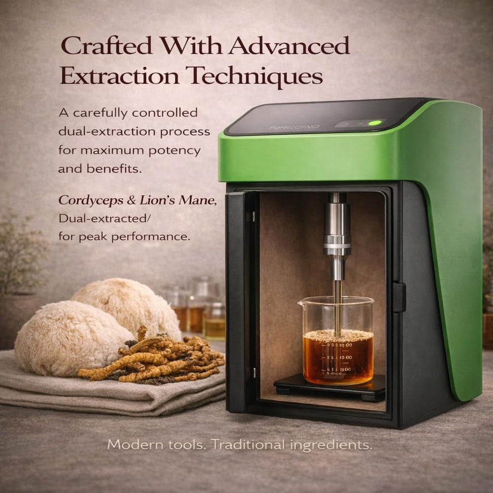 FUNGISIP Momentum smoothie setup demonstrates versatile usage.