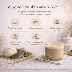 Fungoccino Chaga antioxidant-rich splash shown for grounding in daily routines.