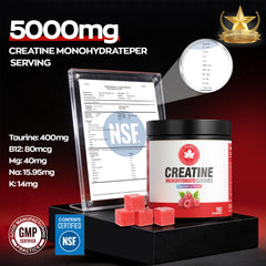 GABE SUNNYBEARS Creatine Gummies 5g per serving for strength and performance during workouts.