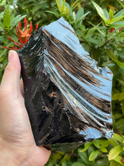 GAF TREASURES extra-large black obsidian rough stone for bold display and energy focus.