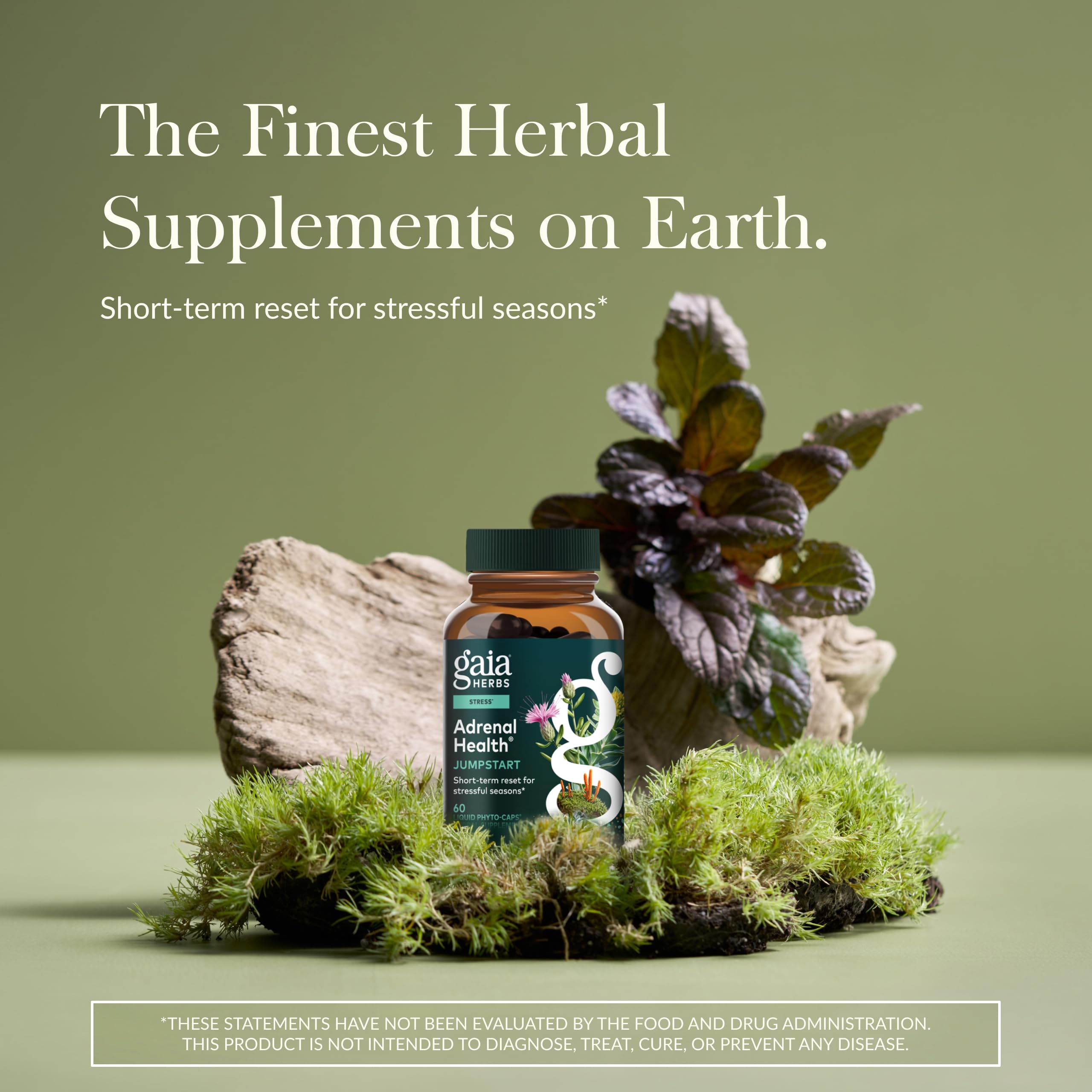 Gaia Herbs Adrenal Health Jumpstart label close-up highlighting adaptogens