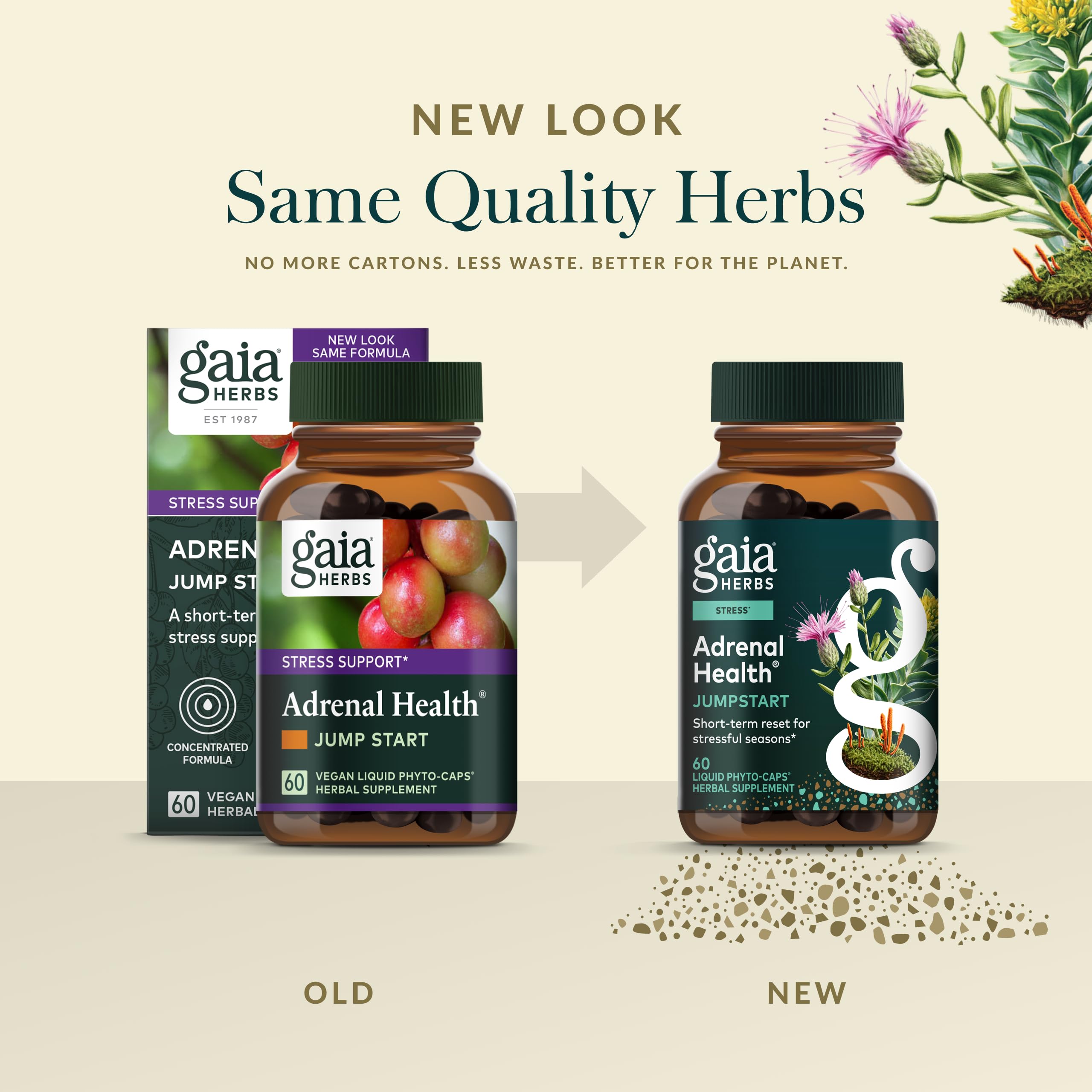 Gaia Herbs Adrenal Health Jumpstart packaging on a clean kitchen counter