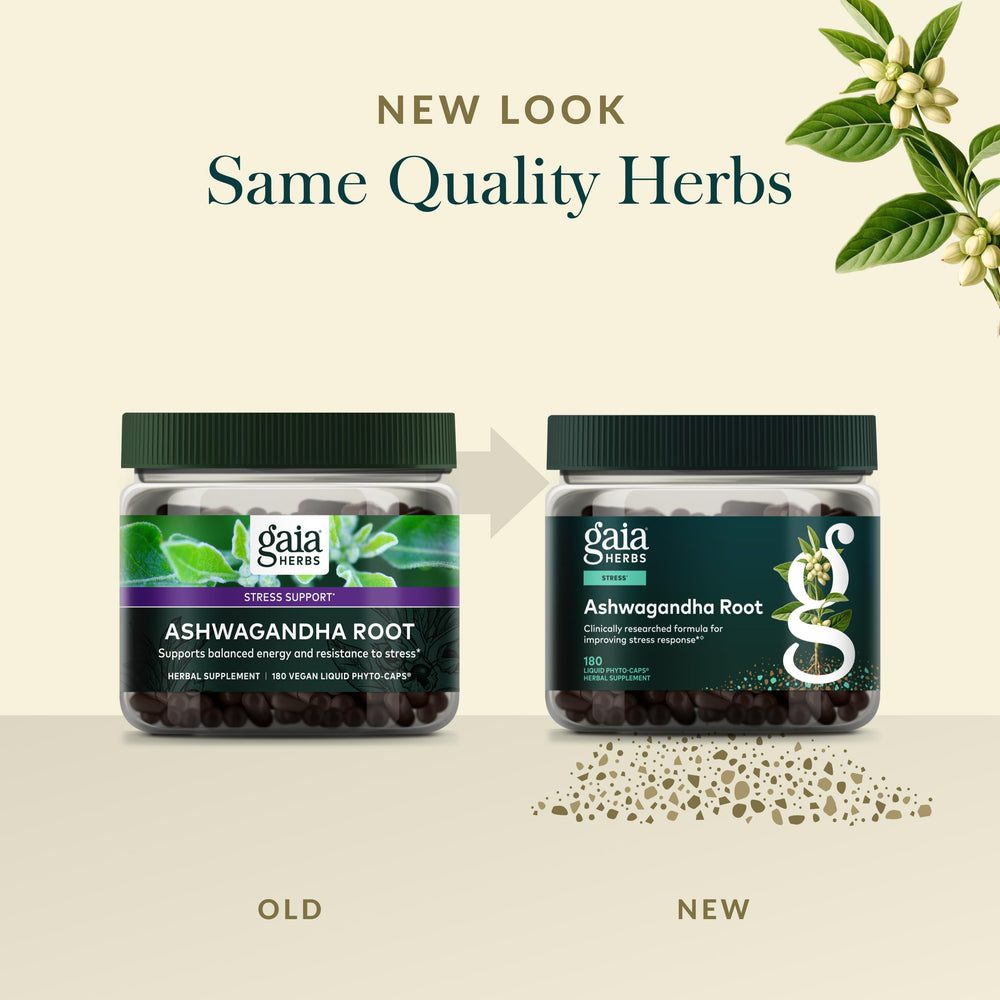 Gaia Herbs Ashwagandha Root capsules with a herbal tea vibe for calm focus