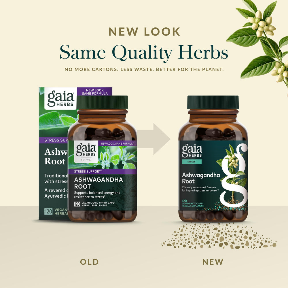 Gaia Herbs Ashwagandha root plant visuals showcasing natural origin.