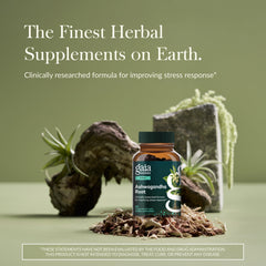 Gaia Herbs Ashwagandha Root sleep-support bottle promoting restful nights and daytime resilience.