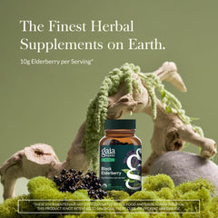 Gaia Herbs Black Elderberry capsules close-up showing vegan supplement