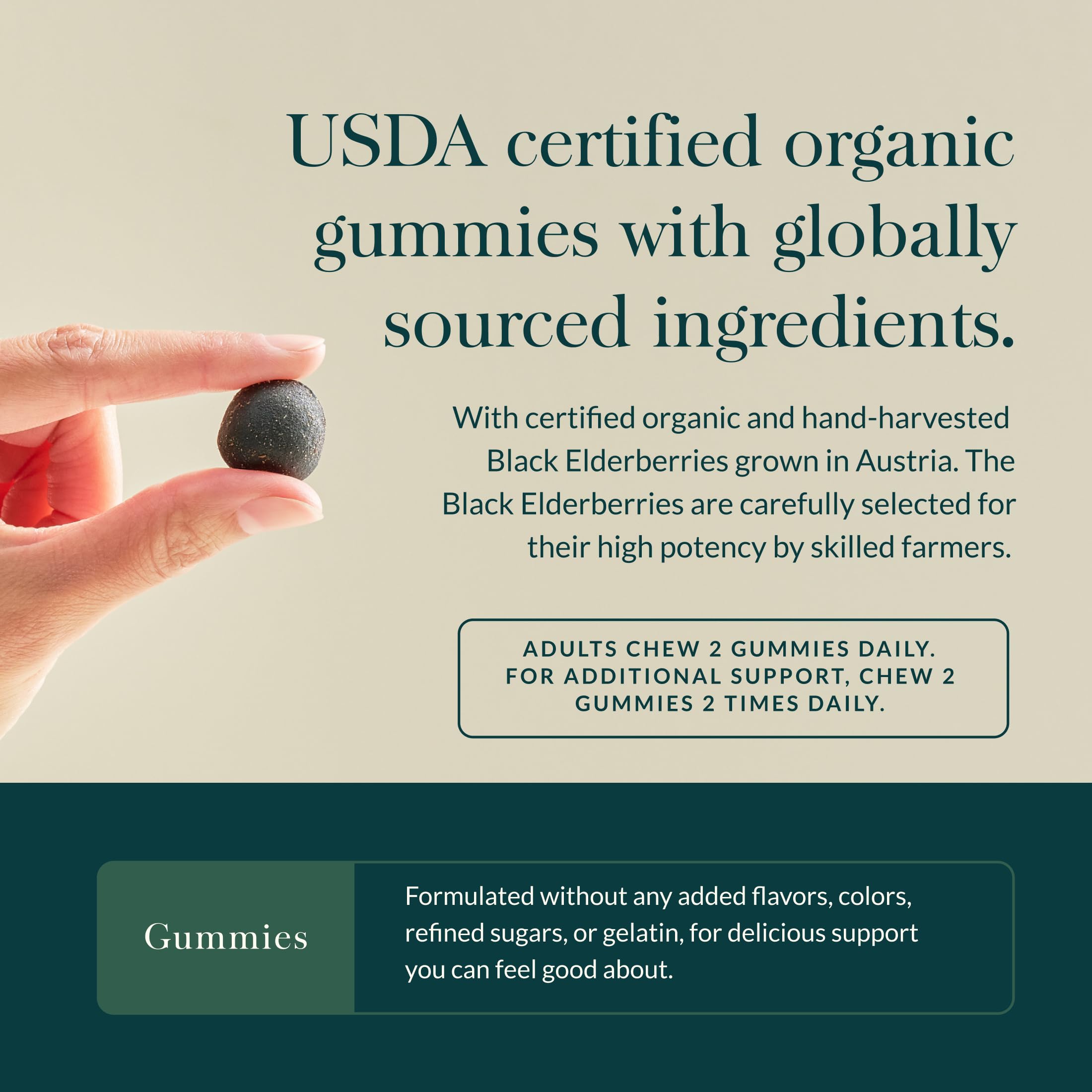 Gaia Herbs gummies serving portion illustration for 60 servings