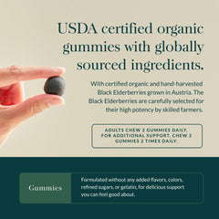 Gaia Herbs gummies serving portion illustration for 60 servings