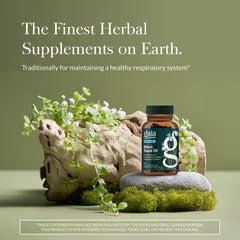 Gaia Herbs Black Seed Oil capsules label back showing gluten-free and soy-free qualities