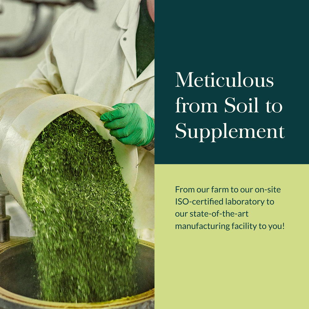 Gaia Herbs boswellia resin photo suggesting traditional joint comfort aid.