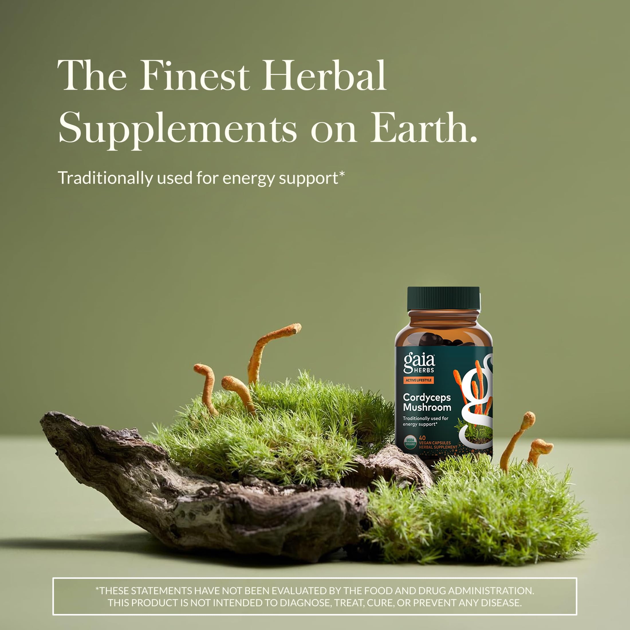 Gaia Herbs Cordyceps capsules with organic fruiting body extract for sustained energy