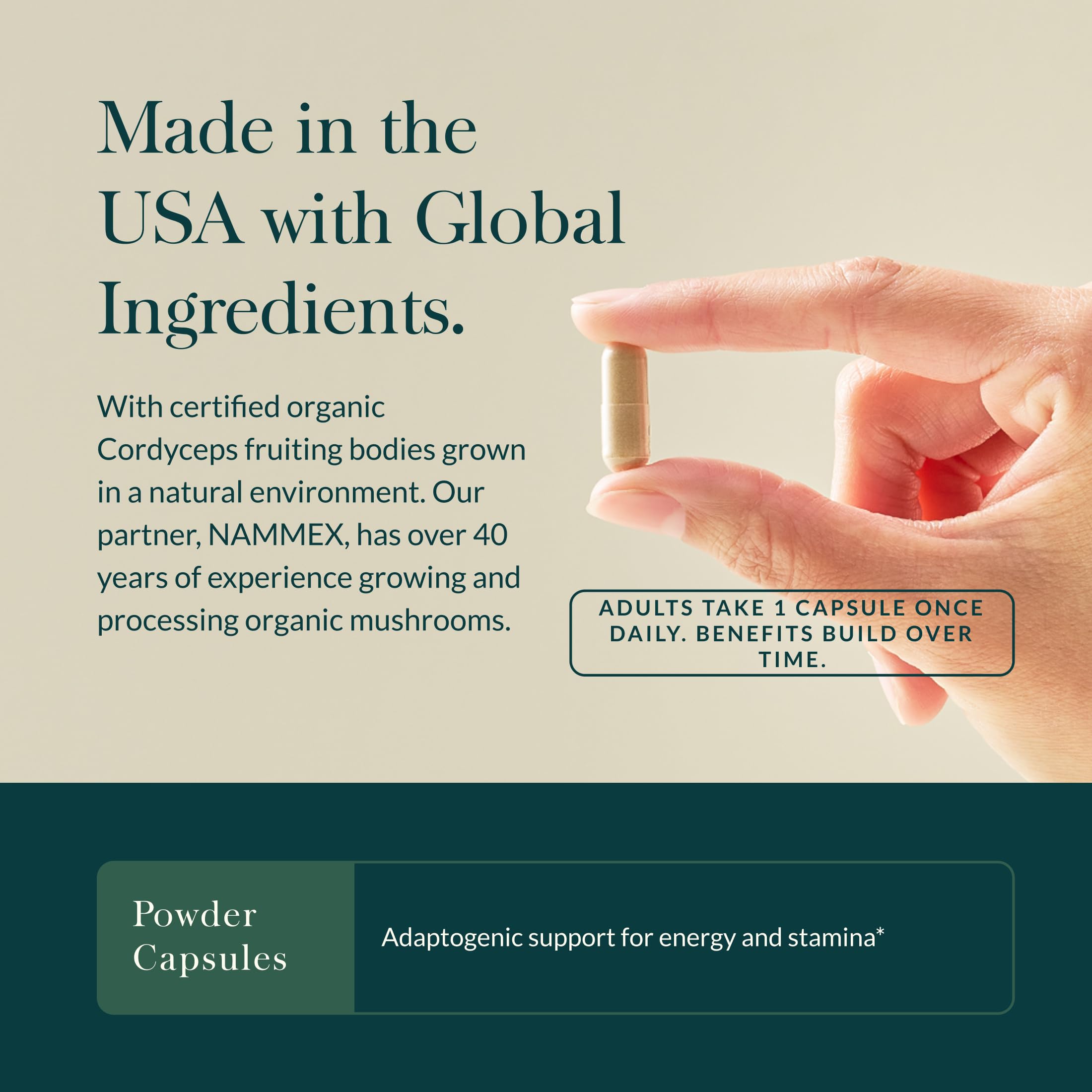 Daily-use Gaia Herbs Cordyceps bottle for endurance support