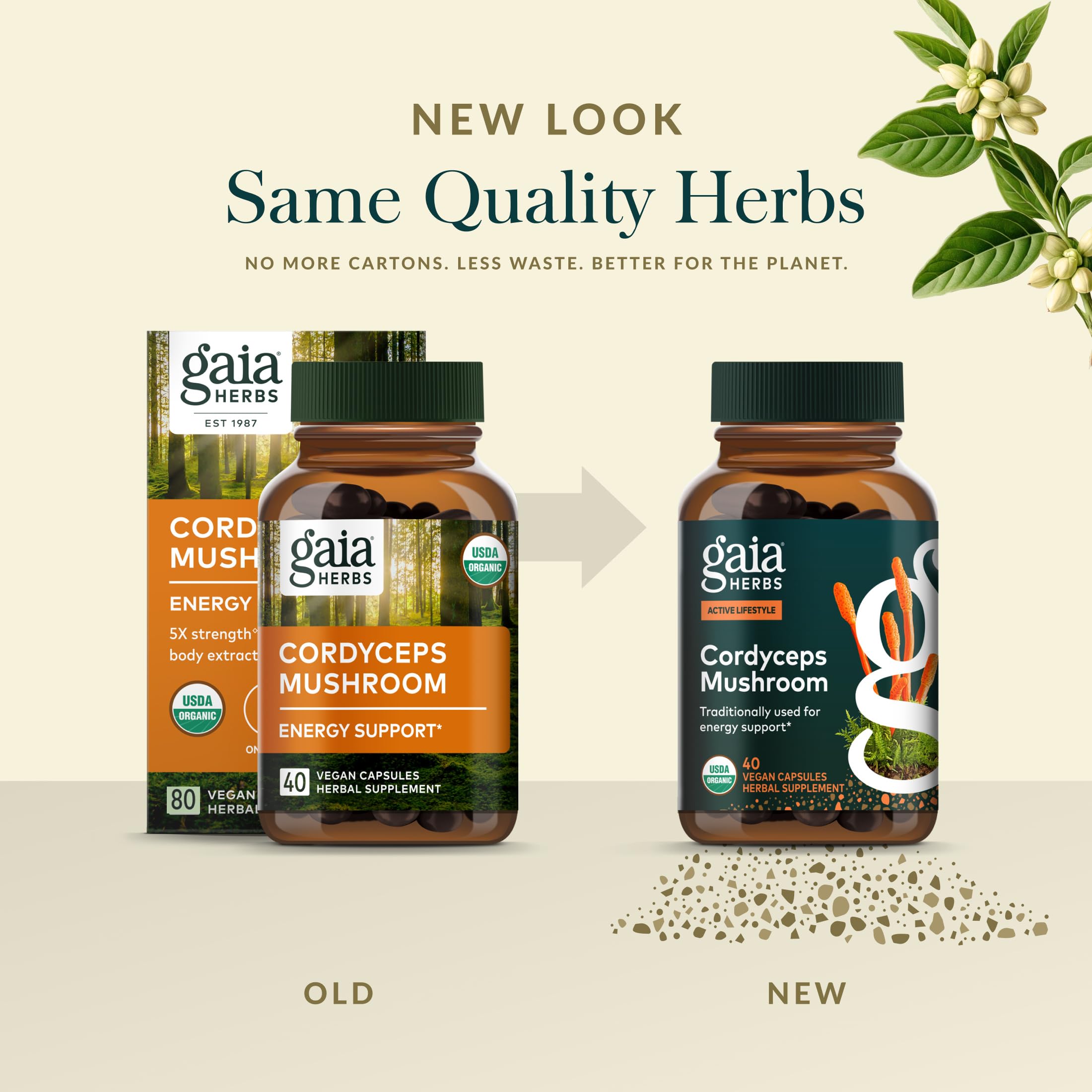 Gaia Herbs Cordyceps vegan capsule on display for plant-based wellness