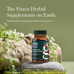 Gaia Herbs Cranberry Concentrate pouring scene highlighting convenient daily use