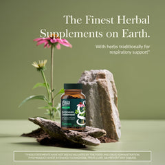 Gaia Herbs Echinacea Goldenseal pour cap shows easy daily serving.
