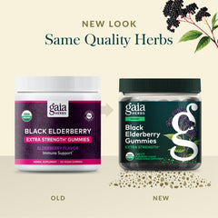 Gaia Herbs elderberry gummies being held for everyday wellness