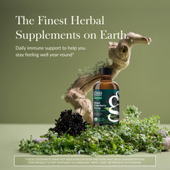 Ingredients panel on Gaia Herbs elderberry syrup showing five plant-based ingredients.