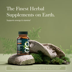Gaia Herbs Eleuthero Root capsules close-up highlighting vegan formula for everyday stamina