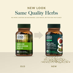 Capsules arranged neatly for easy daily dosage.