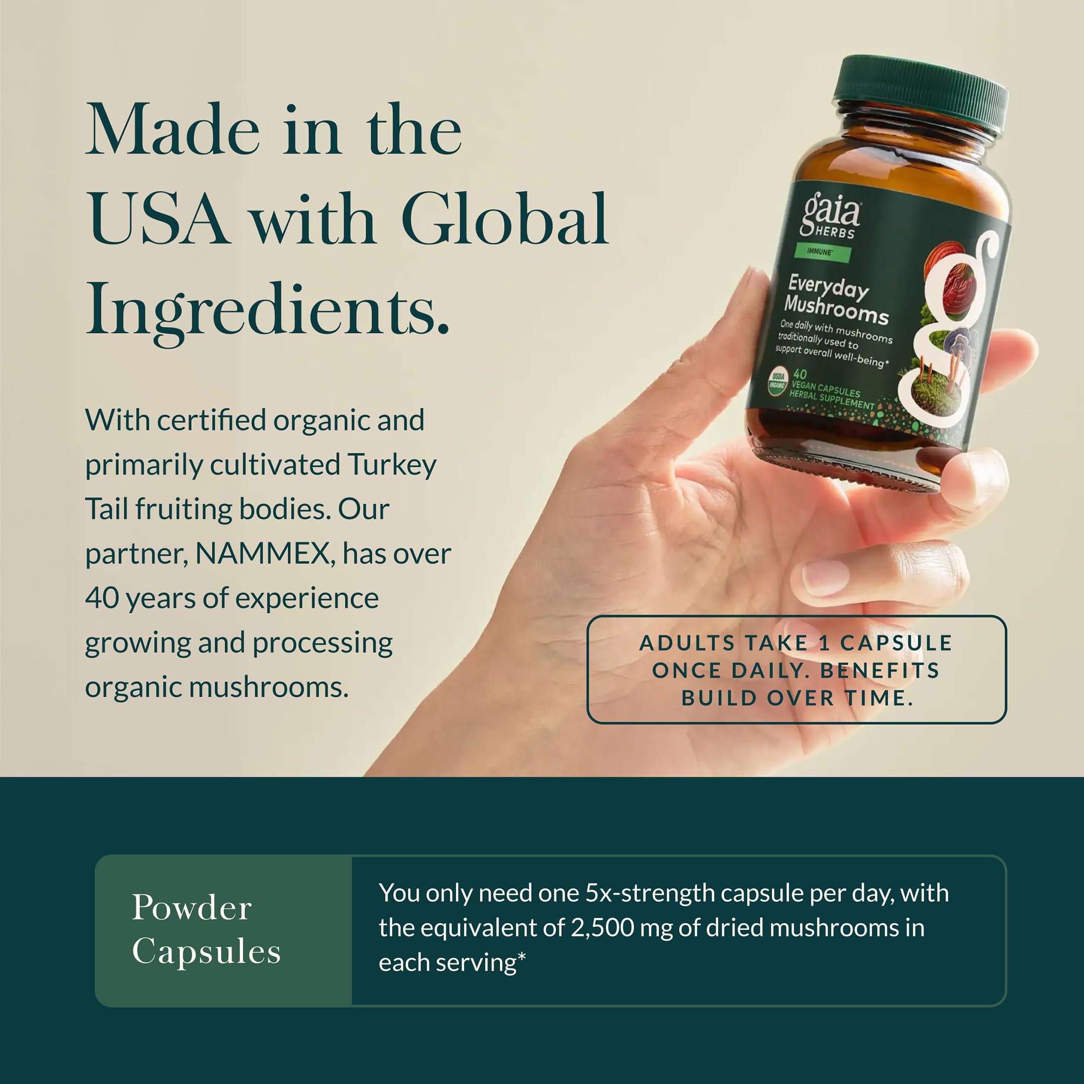Gaia Everyday Mushrooms packaging emphasizing eco-friendly sourcing.