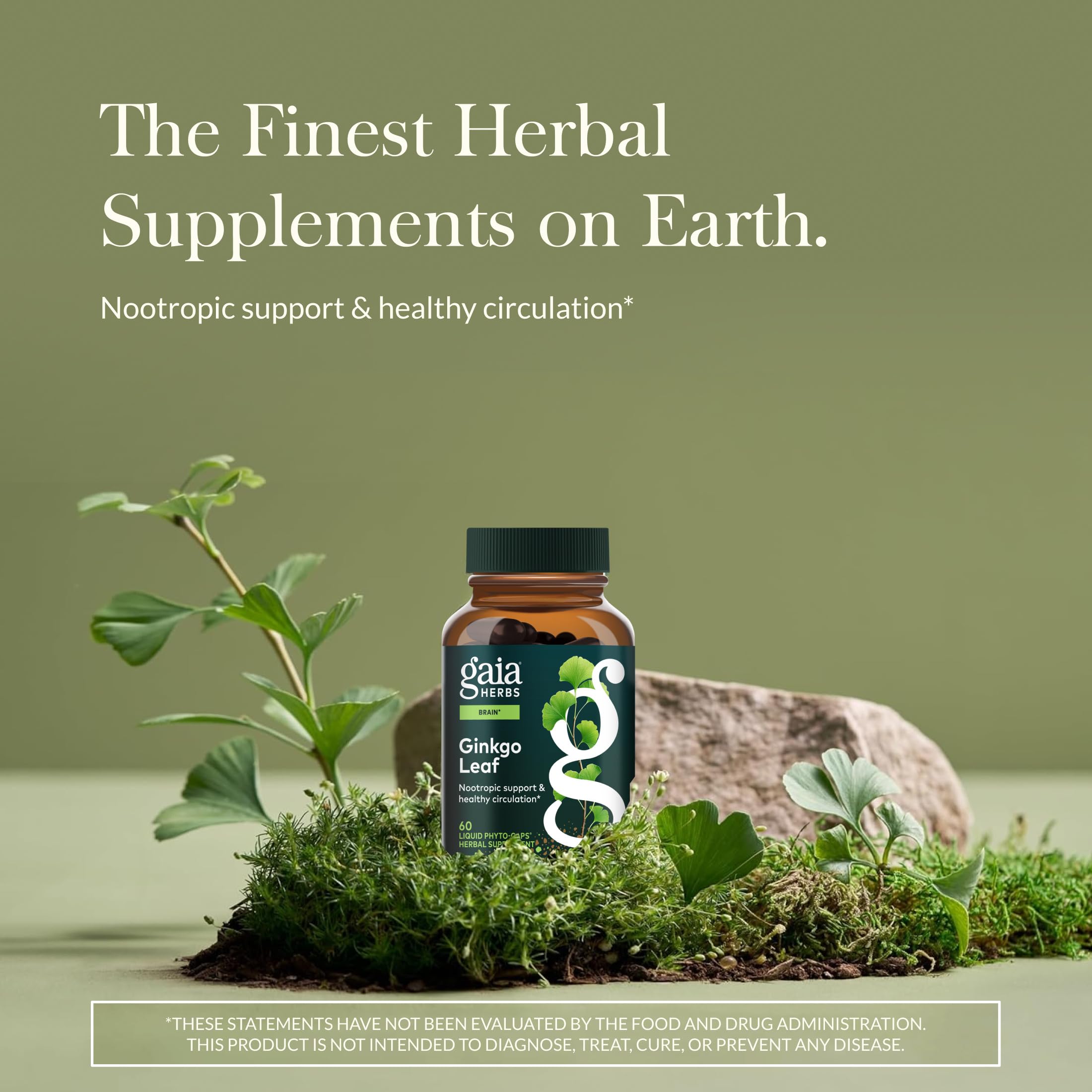 Gaia Herbs Ginkgo Leaf capsules close-up highlighting convenient capsules for daily wellness
