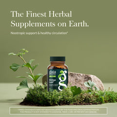 Gaia Herbs Ginkgo Leaf capsules close-up highlighting convenient capsules for daily wellness
