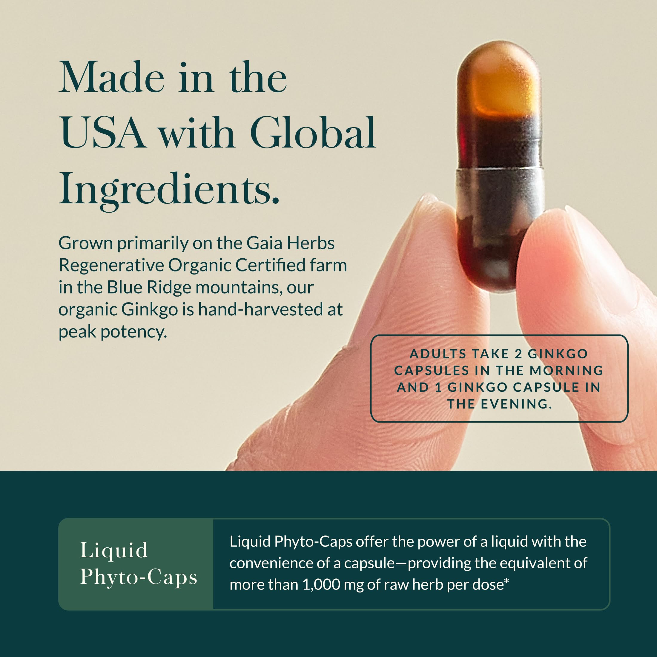 Gaia Herbs Ginkgo Leaf packaging on a shelf reflecting sustainable sourcing