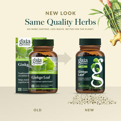 Gaia Herbs Ginkgo Leaf plant imagery highlighting traditional herb heritage
