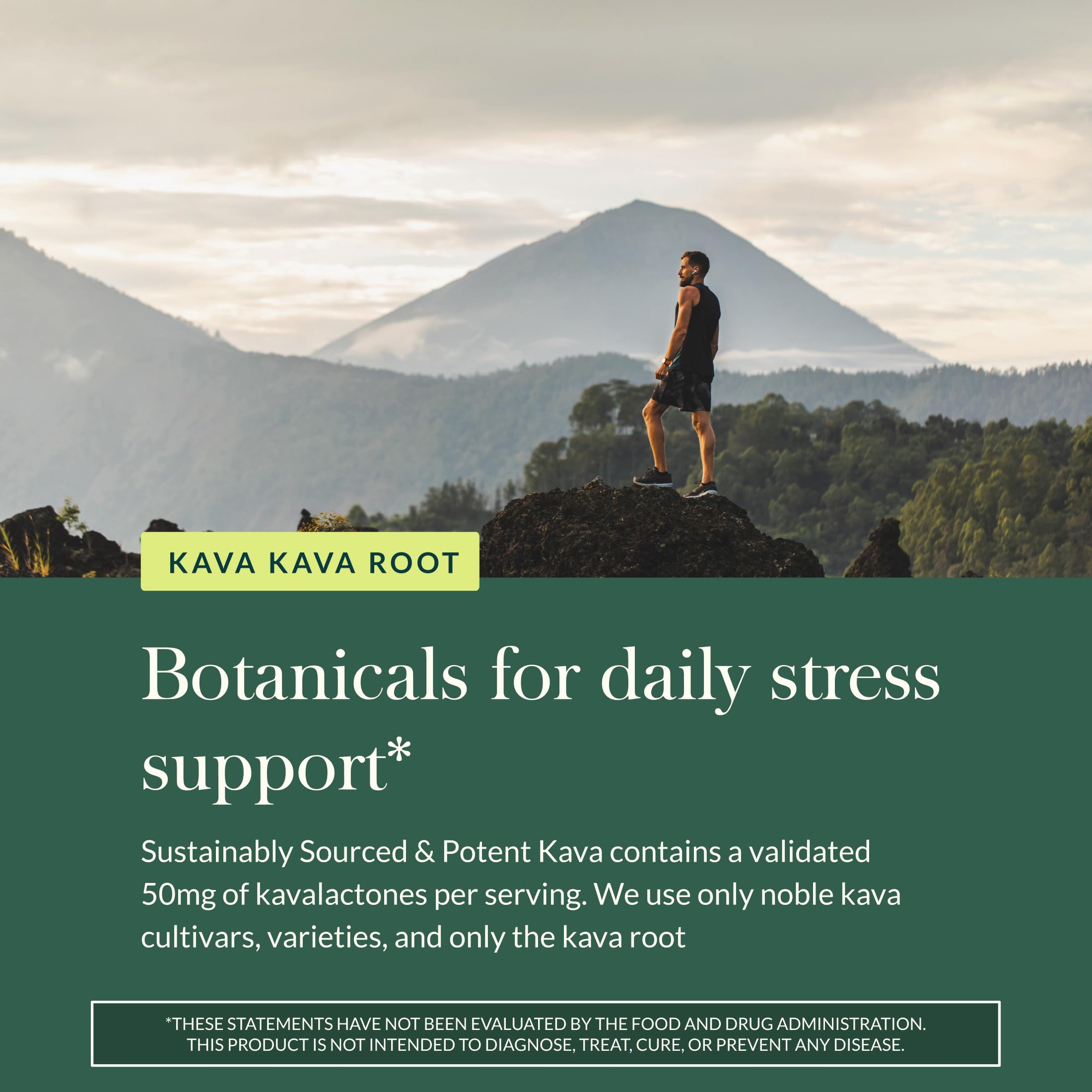 Gaia Herbs Kava Root packaging emphasizes 60 mg kavalactones per serving