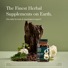 Close-up of Gaia Herbs Lion's Mane vegan capsules.