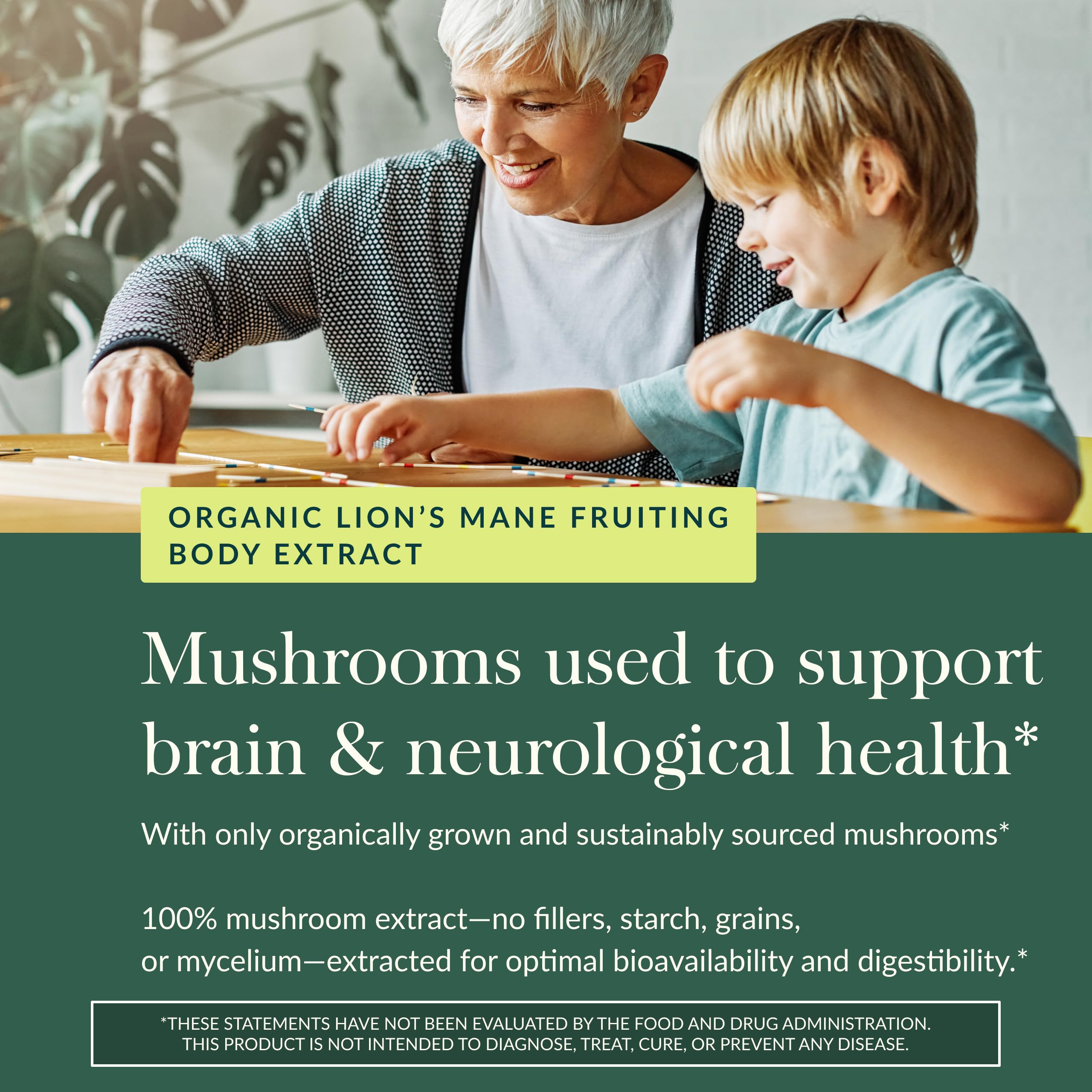 Image highlighting fruiting bodies as the authentic Lion's Mane source.