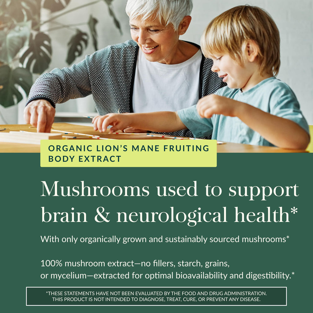 Image highlighting fruiting bodies as the authentic Lion's Mane source.