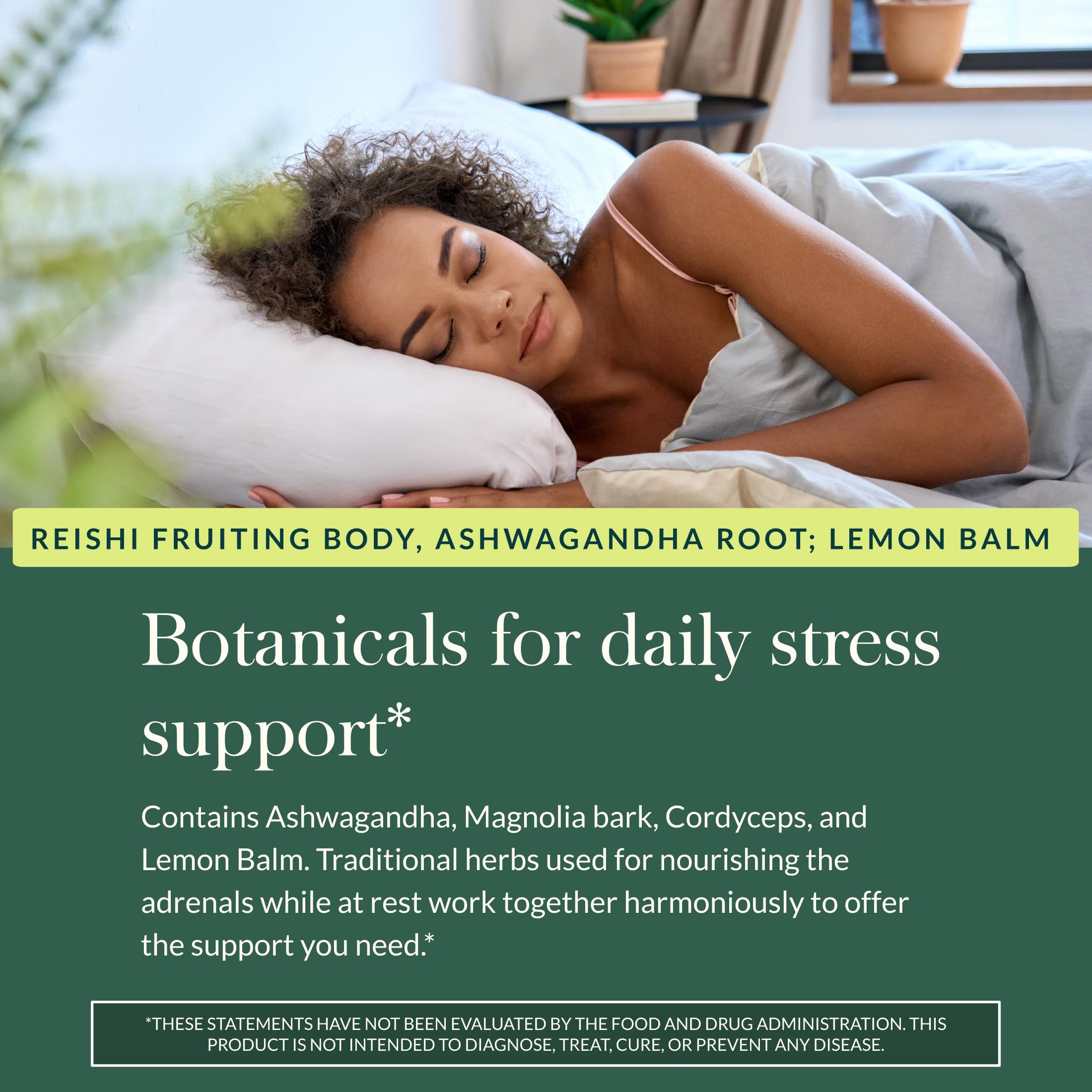 Gaia Herbs Magnolia Bark slice highlights key adaptogen in the blend