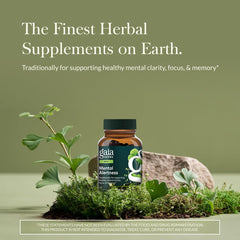 Closeup of Gaia Herbs Mental Alertness capsules designed for alertness and clarity