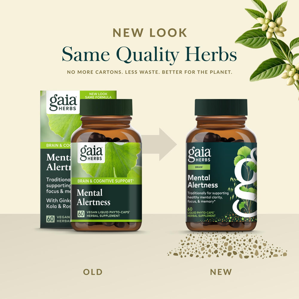Artwork showing Eleuthero and Ginkgo as key ingredients supporting focus