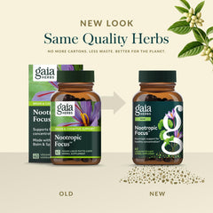 Gaia Herbs Nootropic Focus daily-use scene with capsules prepared for study