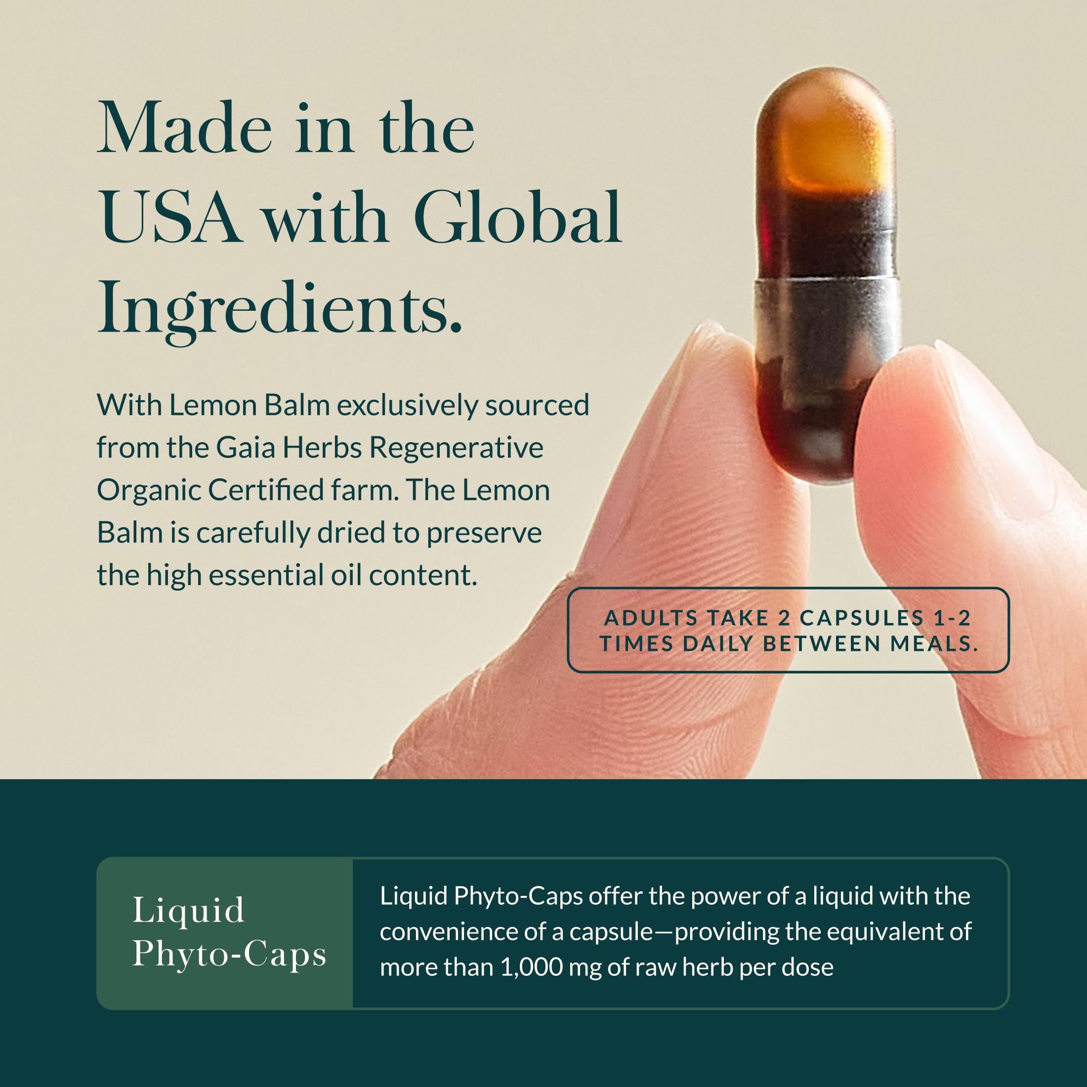Gaia Herbs Nootropic Focus label closeup detailing saffron, lemon balm and ginkgo